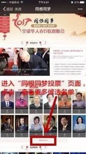 同根同梦2017年全球华人春节联欢晚会微信投票指南 
