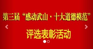 第三届感动武山十大道德模范网络投票方法