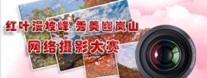 红叶漫坡峰秀美幽岚山网络摄影大赛投票方式