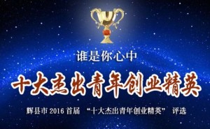 辉县市十大杰出青年创业精英评选投票流程