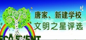 唐家新建学校文明之星评选活动