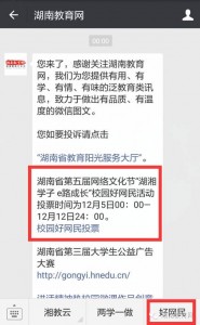 湖南省第五届网络文化节湖湘学子e路成长之校园好网民活动投票攻略