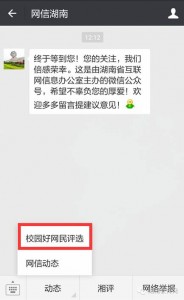 湖南省第五届网络文化节湖湘学子e路成长之校园好网民活动投票攻略