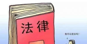 第四届法律知识竞赛决赛最佳人气组合评选微信投票操作攻略