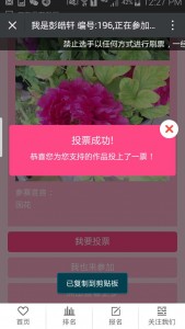 首届阆中牡丹主题摄影大赛微信投票操作指南