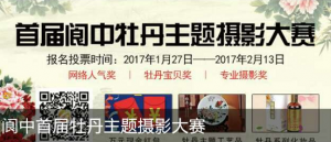 首届阆中牡丹主题摄影大赛微信投票操作指南