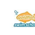 金鱼游泳学校计划在2020年结束前投入大量资金