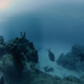 互联网分析：Hydrus VR摄像头系统可在水下深处捕获360个8K视频