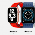 新的Apple Watch 6和SE：价格和发售日期