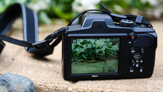 尼康宣布为相机用户提供网络摄像头功能