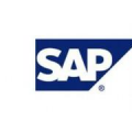 互联网分析：SAP发布了其HANA实时数据库管理系统的快速版本