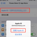互联网分析：苹果商店变成英文了怎么转换成中文