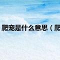 爬宠是什么意思（爬宠）