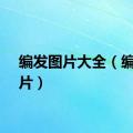 编发图片大全（编发图片）