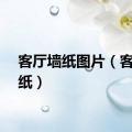 客厅墙纸图片（客厅墙纸）
