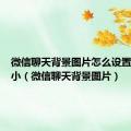 微信聊天背景图片怎么设置比例大小（微信聊天背景图片）