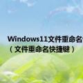 Windows11文件重命名快捷键（文件重命名快捷键）