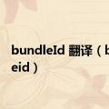bundleId 翻译（bundleid）