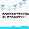 燃气热水器哪个牌子好质量好又安全（燃气热水器哪个好）