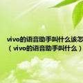 vivo的语音助手叫什么该怎么唤醒（vivo的语音助手叫什么）