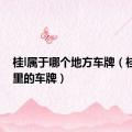 桂l属于哪个地方车牌（桂f是哪里的车牌）