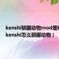 kenshi驯服动物mod是哪个?（kenshi怎么驯服动物）