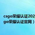 csgo荣耀认证2021（csgo荣耀认证官网）