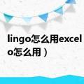 lingo怎么用excel（lingo怎么用）