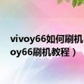 vivoy66如何刷机（vivoy66刷机教程）