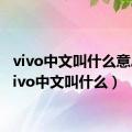 vivo中文叫什么意思（vivo中文叫什么）
