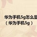 华为手机5g怎么显示4g（华为手机5g）