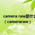 camera raw是什么意思（cameraraw）